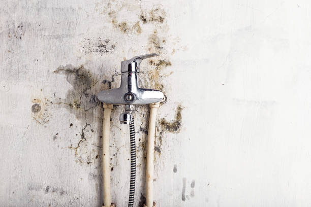 Best Water Damage Restoration  in Ocala, FL