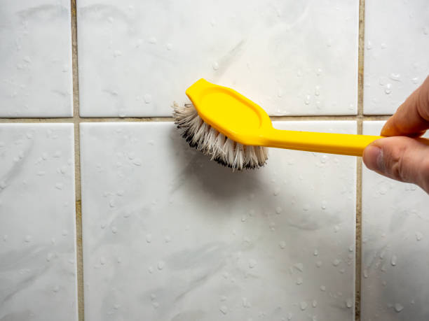 Best Mold Remediation  in Ocala, FL